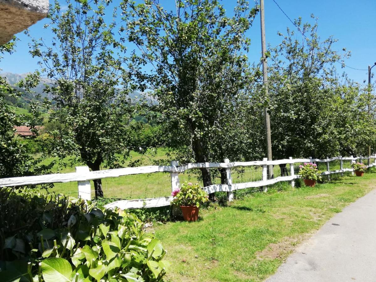 La Casa Nueva Alojamiento Rural Cereceda  Esterno foto