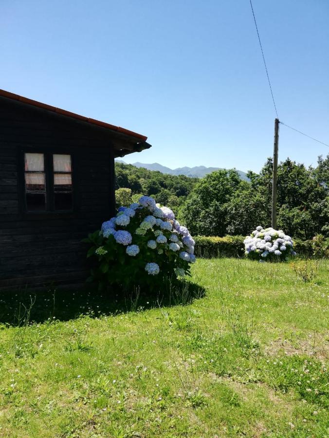 La Casa Nueva Alojamiento Rural Cereceda  Esterno foto