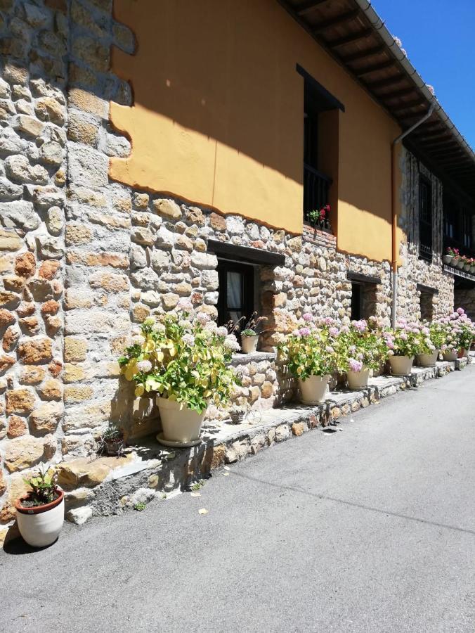 La Casa Nueva Alojamiento Rural Cereceda  Esterno foto