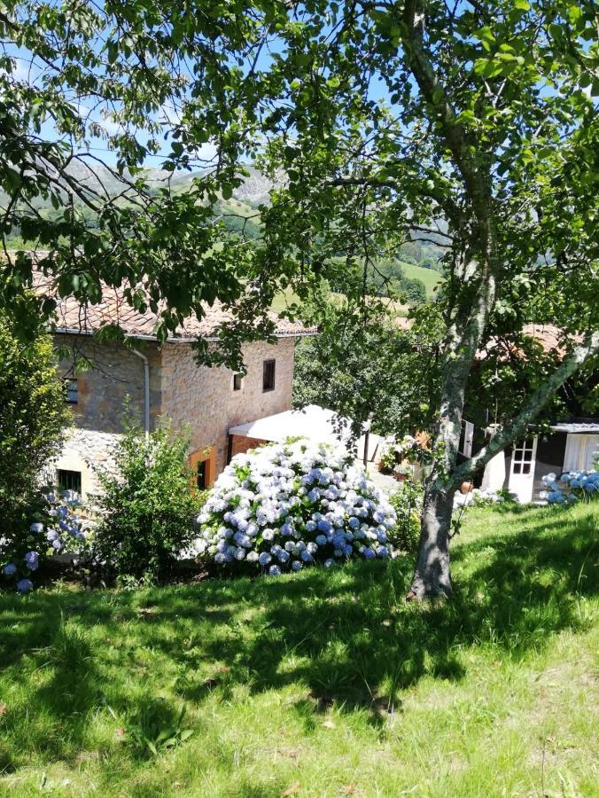 La Casa Nueva Alojamiento Rural Cereceda  Esterno foto