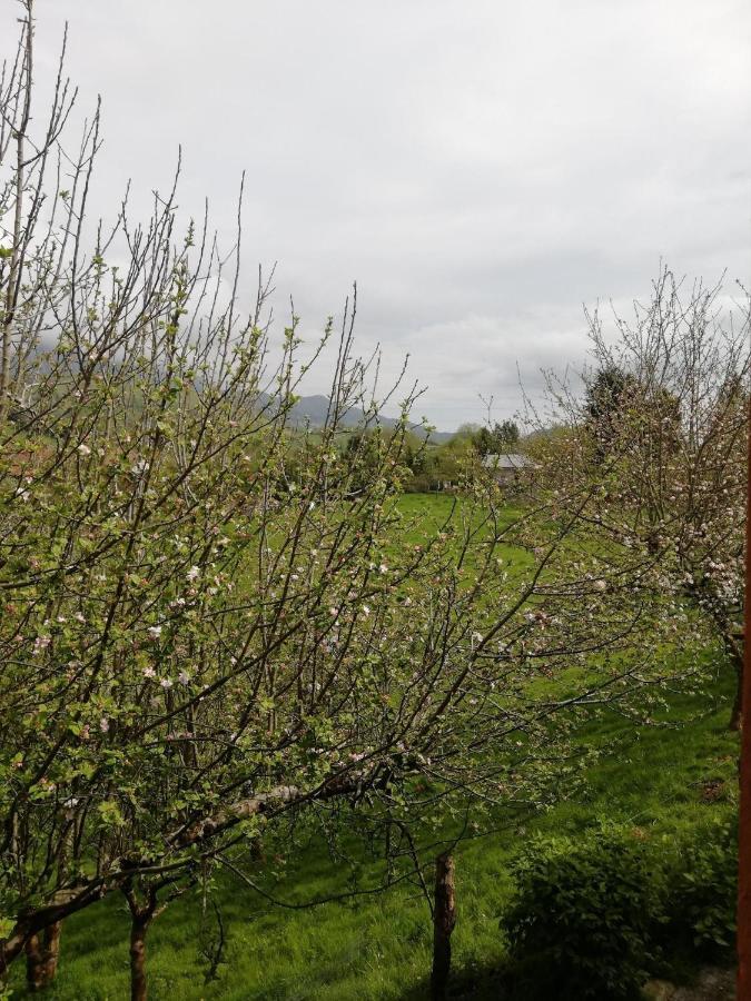 La Casa Nueva Alojamiento Rural Cereceda  Esterno foto