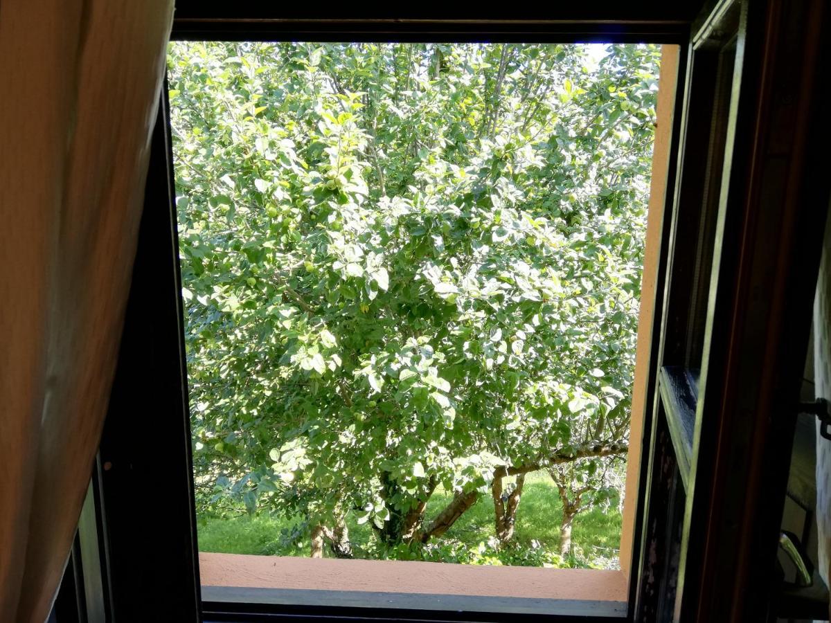 La Casa Nueva Alojamiento Rural Cereceda  Esterno foto